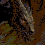 Vartotojo avataras